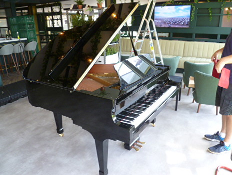 Piano 6